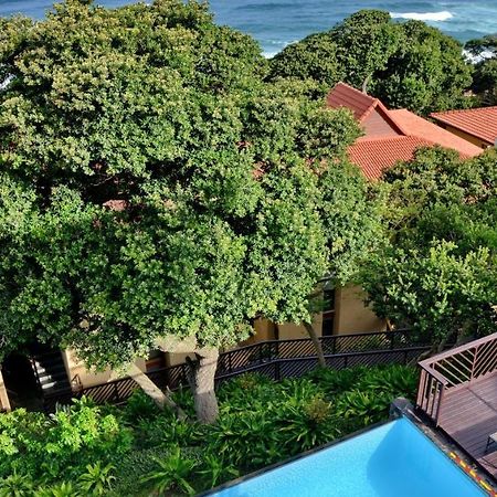 Anew Hotel Ocean Reef Zinkwazi Εξωτερικό φωτογραφία